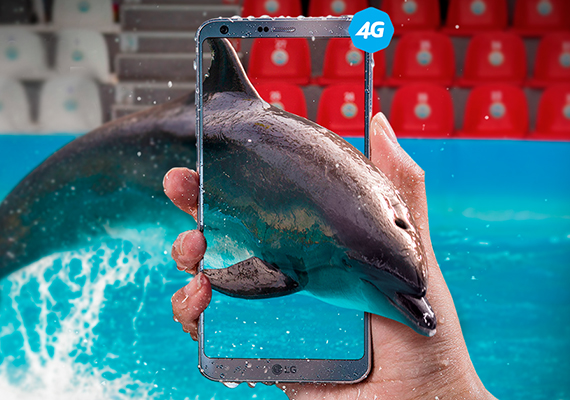 Lorem ipsum dolor sit amet, consectetur adipiscing elit. Phasellus quis elementum odio. Curabitur pellentesque, dolor vel pharetra mollis.