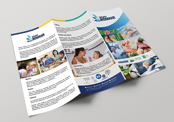 Lorem ipsum dolor sit amet, consectetur adipiscing elit. Phasellus quis elementum odio. Curabitur pellentesque, dolor vel pharetra mollis.