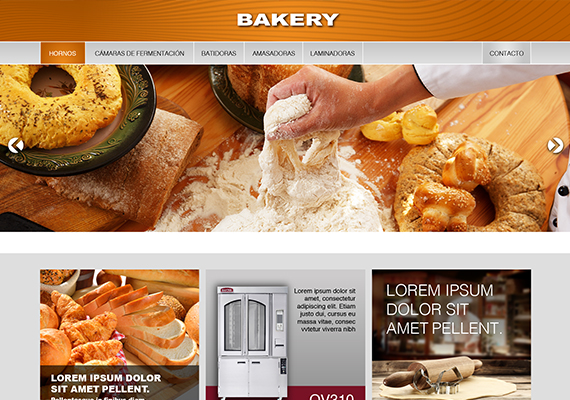 Lorem ipsum dolor sit amet, consectetur adipiscing elit. Phasellus quis elementum odio. Curabitur pellentesque, dolor vel pharetra mollis.