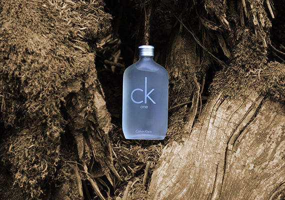 Lorem ipsum dolor sit amet, consectetur adipiscing elit. Phasellus quis elementum odio. Curabitur pellentesque, dolor vel pharetra mollis.