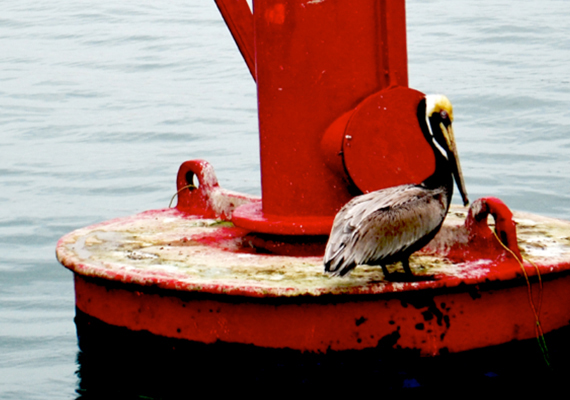 Lorem ipsum dolor sit amet, consectetur adipiscing elit. Phasellus quis elementum odio. Curabitur pellentesque, dolor vel pharetra mollis.